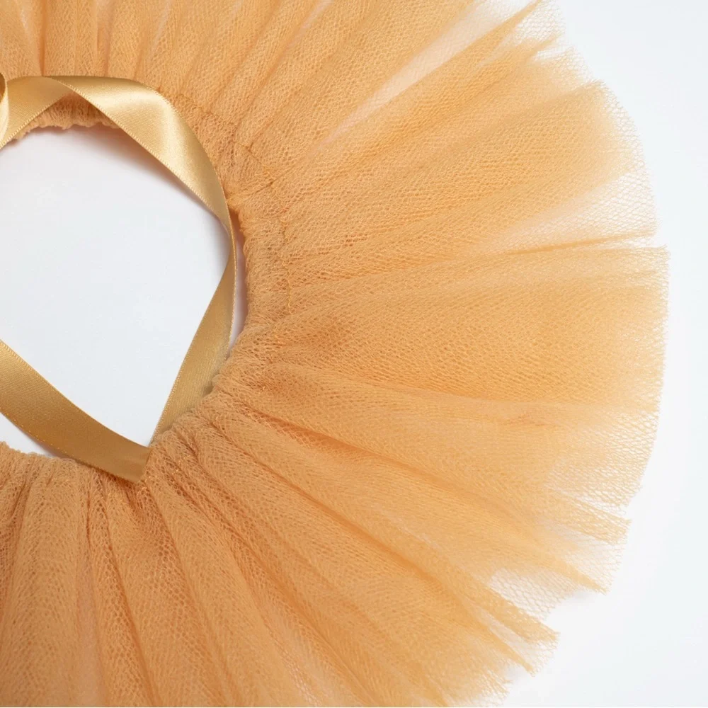 Baby Lion Tulle and Velour DIY Costume